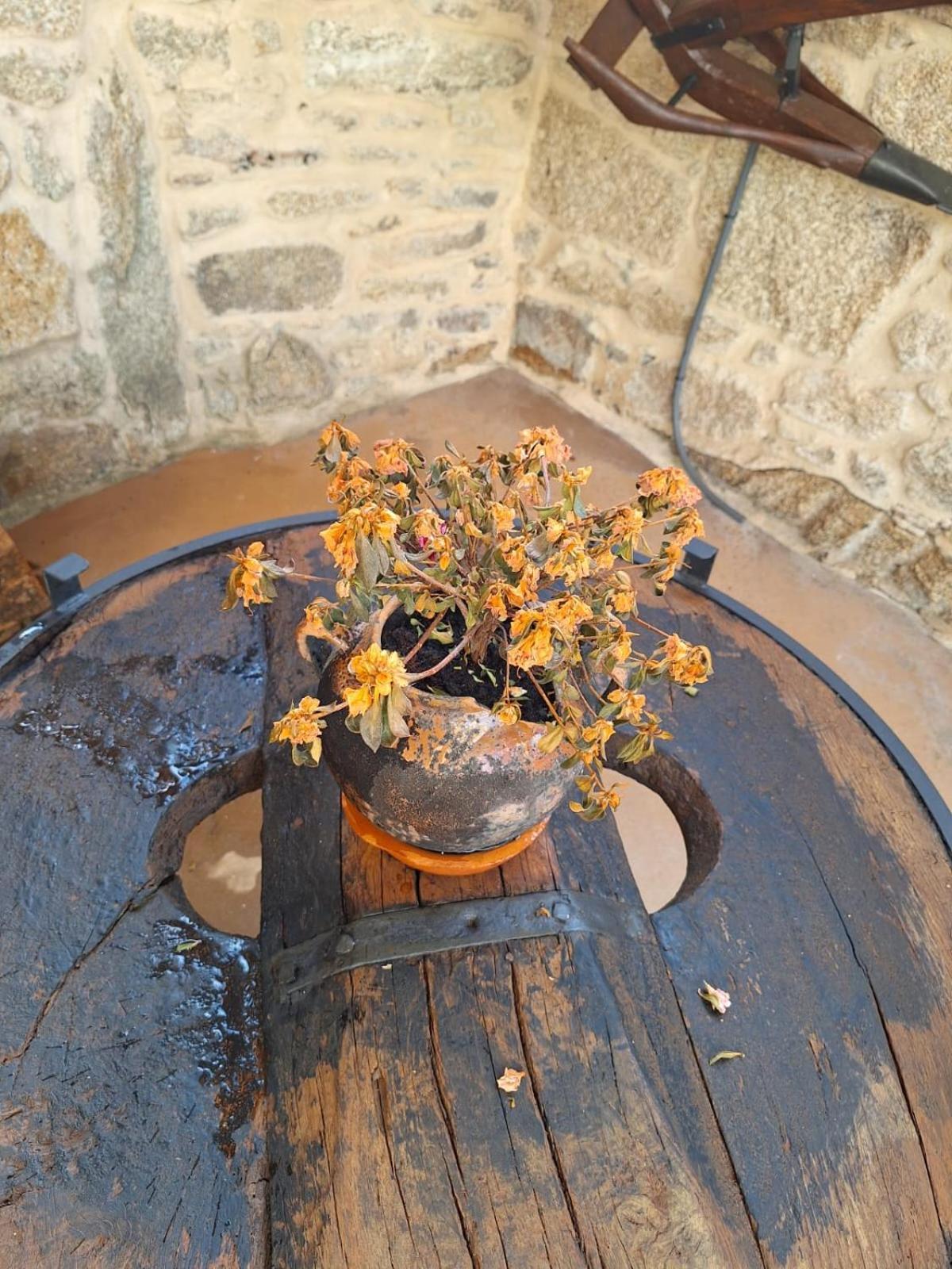 O Corazón Da Ribeira Sacra
